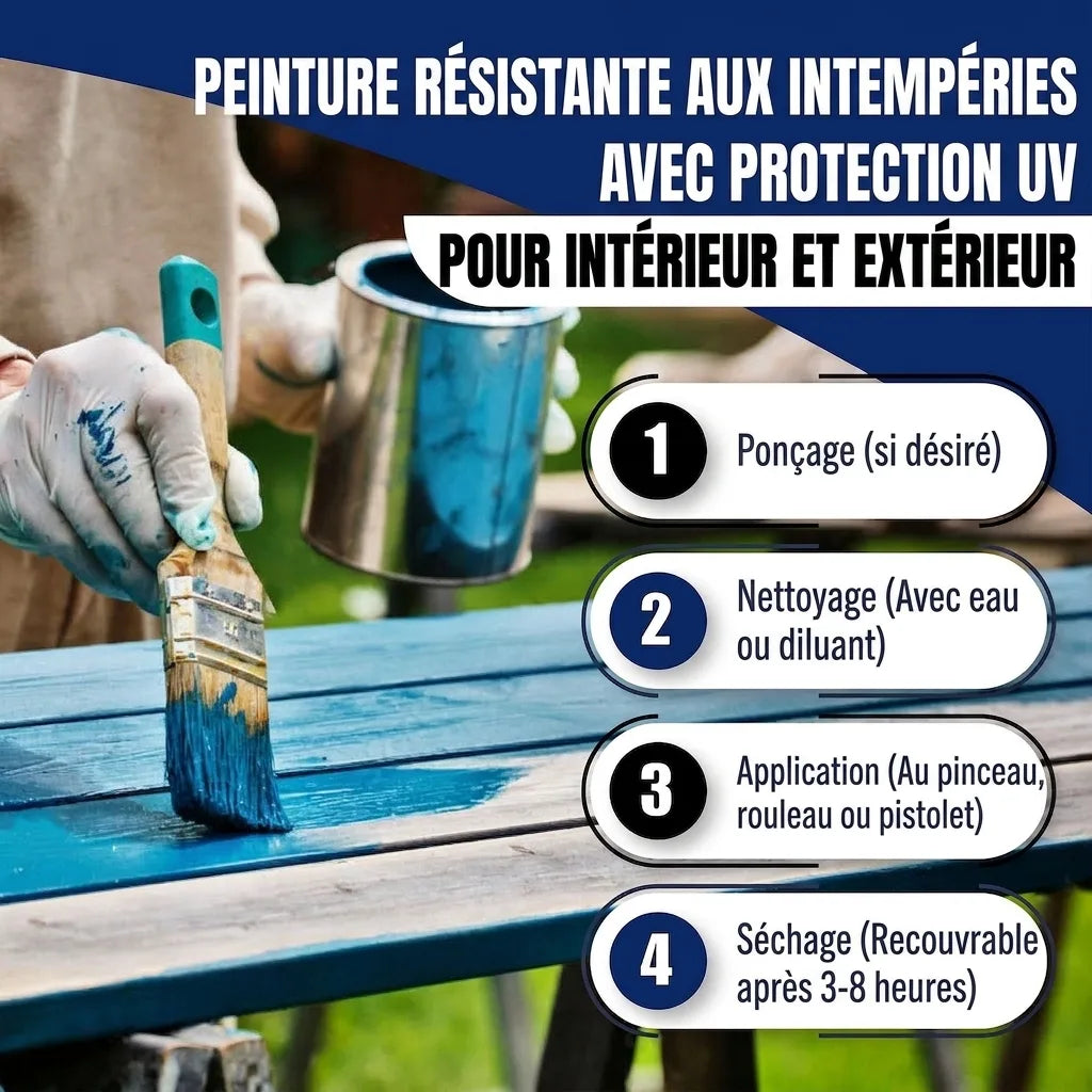 Smalto colorato Marrone nerastro RAL 8022 con kit di verniciatura (X300) - Hamburger Lack-Profi