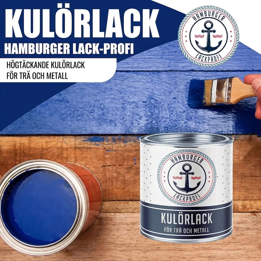 Smalto colorato Marrone nerastro RAL 8022 con kit di verniciatura (X300) - Hamburger Lack-Profi